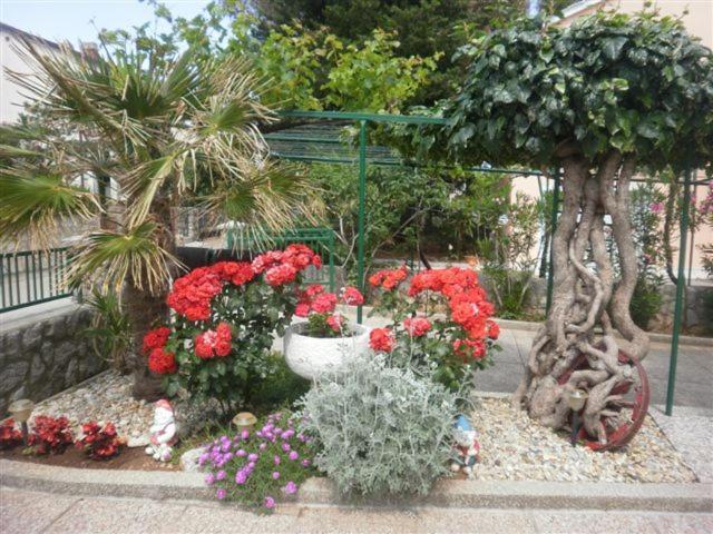 Apartmani Braut Kornic Exterior photo